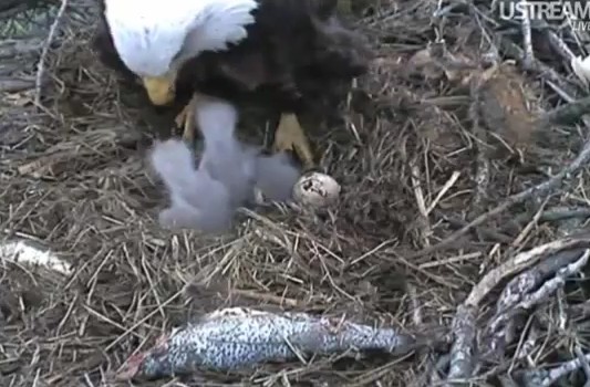 ScreenHunter_05 Mar. 31 11.22.jpg